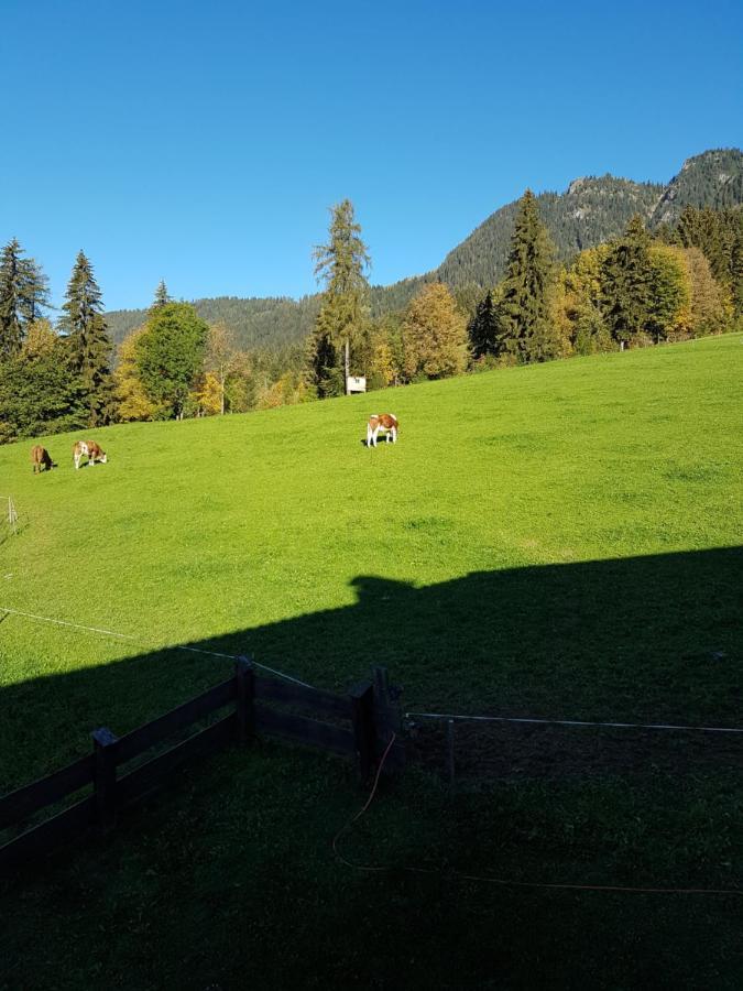 Haus Theresia Alpbach Exterior photo