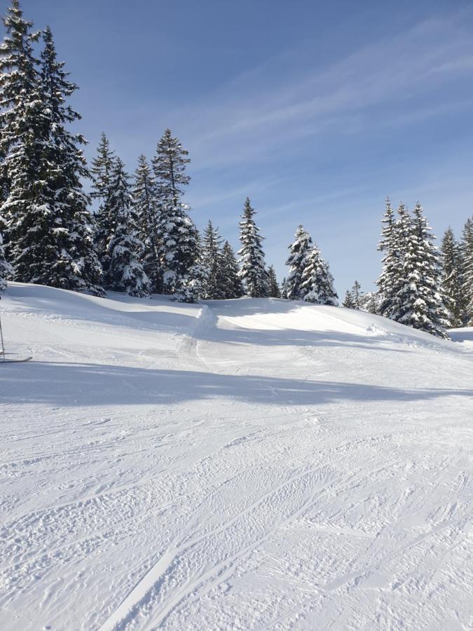 Haus Theresia Alpbach Exterior photo